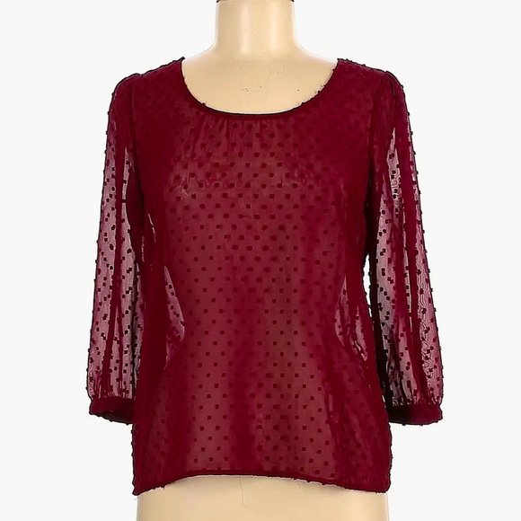 ✅FREE✅ Anthropologie Pins and Needles sheer polka dot open-back blouse XS - Picture 1 of 9